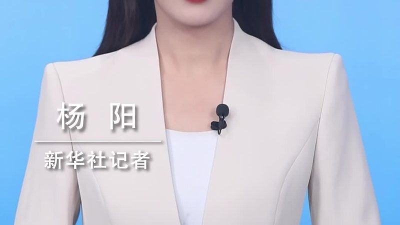 数据湖解决方案：价格背后的价值考量